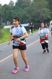 BIB: 0499
                            <button type="button" onclick="openModal(6345430)" class="btn btn-primary btn-sm float-right btn-popup" data-toggle="modal" data-target=".modal-high-quality">
                        <i class="fas fa-shopping-cart"></i> Add to Cart
                    </button>
                                            <button type="button" onclick="isThisMe(6345430, true)" class="btn btn-success btn-sm float-right btn-popup btn-isme hidden" data-toggle="tooltip" data-placement="bottom" title="นี่คือรูปของคุณใช่ไหม คลิกที่นี่เพื่อเอาเข้าอัลบั้ม">
                        <i class="fas fa-plus"></i> Add to album
                    </button>
                    <button type="button" onclick="isThisMe(6345430, false)" class="btn btn-warning btn-sm float-right btn-popup btn-isnotme hidden">
                        <i class="fas fa-ban"></i> Remove from album
                    </button>