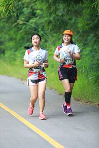 BIB: 6592, 6625
                            <button type="button" onclick="openModal(6344865)" class="btn btn-primary btn-sm float-right btn-popup" data-toggle="modal" data-target=".modal-high-quality">
                        <i class="fas fa-shopping-cart"></i> Add to Cart
                    </button>
                                            <button type="button" onclick="isThisMe(6344865, true)" class="btn btn-success btn-sm float-right btn-popup btn-isme hidden" data-toggle="tooltip" data-placement="bottom" title="นี่คือรูปของคุณใช่ไหม คลิกที่นี่เพื่อเอาเข้าอัลบั้ม">
                        <i class="fas fa-plus"></i> Add to album
                    </button>
                    <button type="button" onclick="isThisMe(6344865, false)" class="btn btn-warning btn-sm float-right btn-popup btn-isnotme hidden">
                        <i class="fas fa-ban"></i> Remove from album
                    </button>