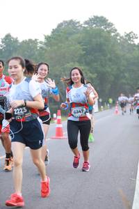 BIB: 2223, 6347
                            <button type="button" onclick="openModal(6348598)" class="btn btn-primary btn-sm float-right btn-popup" data-toggle="modal" data-target=".modal-high-quality">
                        <i class="fas fa-shopping-cart"></i> Add to Cart
                    </button>
                                            <button type="button" onclick="isThisMe(6348598, true)" class="btn btn-success btn-sm float-right btn-popup btn-isme hidden" data-toggle="tooltip" data-placement="bottom" title="นี่คือรูปของคุณใช่ไหม คลิกที่นี่เพื่อเอาเข้าอัลบั้ม">
                        <i class="fas fa-plus"></i> Add to album
                    </button>
                    <button type="button" onclick="isThisMe(6348598, false)" class="btn btn-warning btn-sm float-right btn-popup btn-isnotme hidden">
                        <i class="fas fa-ban"></i> Remove from album
                    </button>