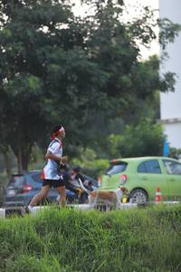 BIB: 
                            <button type="button" onclick="openModal(6342132)" class="btn btn-primary btn-sm float-right btn-popup" data-toggle="modal" data-target=".modal-high-quality">
                        <i class="fas fa-shopping-cart"></i> Add to Cart
                    </button>
                                            <button type="button" onclick="isThisMe(6342132, true)" class="btn btn-success btn-sm float-right btn-popup btn-isme hidden" data-toggle="tooltip" data-placement="bottom" title="นี่คือรูปของคุณใช่ไหม คลิกที่นี่เพื่อเอาเข้าอัลบั้ม">
                        <i class="fas fa-plus"></i> Add to album
                    </button>
                    <button type="button" onclick="isThisMe(6342132, false)" class="btn btn-warning btn-sm float-right btn-popup btn-isnotme hidden">
                        <i class="fas fa-ban"></i> Remove from album
                    </button>