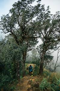 BIB: 
                            <button type="button" onclick="openModal(26154463)" class="btn btn-primary btn-sm float-right btn-popup" data-toggle="modal" data-target=".modal-high-quality">
                        <i class="fas fa-shopping-cart"></i> Add to Cart
                    </button>
                                            <button type="button" onclick="isThisMe(26154463, true)" class="btn btn-success btn-sm float-right btn-popup btn-isme hidden" data-toggle="tooltip" data-placement="bottom" title="นี่คือรูปของคุณใช่ไหม คลิกที่นี่เพื่อเอาเข้าอัลบั้ม">
                        <i class="fas fa-plus"></i> Add to album
                    </button>
                    <button type="button" onclick="isThisMe(26154463, false)" class="btn btn-warning btn-sm float-right btn-popup btn-isnotme hidden">
                        <i class="fas fa-ban"></i> Remove from album
                    </button>