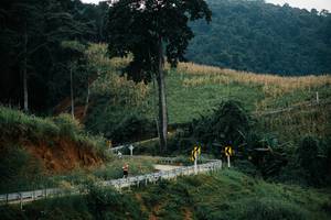 BIB: 
                            <button type="button" onclick="openModal(26154388)" class="btn btn-primary btn-sm float-right btn-popup" data-toggle="modal" data-target=".modal-high-quality">
                        <i class="fas fa-shopping-cart"></i> Add to Cart
                    </button>
                                            <button type="button" onclick="isThisMe(26154388, true)" class="btn btn-success btn-sm float-right btn-popup btn-isme hidden" data-toggle="tooltip" data-placement="bottom" title="นี่คือรูปของคุณใช่ไหม คลิกที่นี่เพื่อเอาเข้าอัลบั้ม">
                        <i class="fas fa-plus"></i> Add to album
                    </button>
                    <button type="button" onclick="isThisMe(26154388, false)" class="btn btn-warning btn-sm float-right btn-popup btn-isnotme hidden">
                        <i class="fas fa-ban"></i> Remove from album
                    </button>