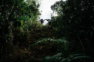 BIB: 
                            <button type="button" onclick="openModal(26154424)" class="btn btn-primary btn-sm float-right btn-popup" data-toggle="modal" data-target=".modal-high-quality">
                        <i class="fas fa-shopping-cart"></i> Add to Cart
                    </button>
                                            <button type="button" onclick="isThisMe(26154424, true)" class="btn btn-success btn-sm float-right btn-popup btn-isme hidden" data-toggle="tooltip" data-placement="bottom" title="นี่คือรูปของคุณใช่ไหม คลิกที่นี่เพื่อเอาเข้าอัลบั้ม">
                        <i class="fas fa-plus"></i> Add to album
                    </button>
                    <button type="button" onclick="isThisMe(26154424, false)" class="btn btn-warning btn-sm float-right btn-popup btn-isnotme hidden">
                        <i class="fas fa-ban"></i> Remove from album
                    </button>