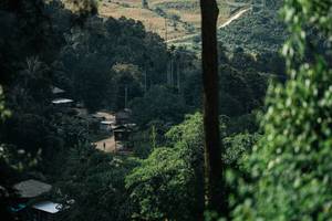 BIB: 
                            <button type="button" onclick="openModal(26154215)" class="btn btn-primary btn-sm float-right btn-popup" data-toggle="modal" data-target=".modal-high-quality">
                        <i class="fas fa-shopping-cart"></i> Add to Cart
                    </button>
                                            <button type="button" onclick="isThisMe(26154215, true)" class="btn btn-success btn-sm float-right btn-popup btn-isme hidden" data-toggle="tooltip" data-placement="bottom" title="นี่คือรูปของคุณใช่ไหม คลิกที่นี่เพื่อเอาเข้าอัลบั้ม">
                        <i class="fas fa-plus"></i> Add to album
                    </button>
                    <button type="button" onclick="isThisMe(26154215, false)" class="btn btn-warning btn-sm float-right btn-popup btn-isnotme hidden">
                        <i class="fas fa-ban"></i> Remove from album
                    </button>