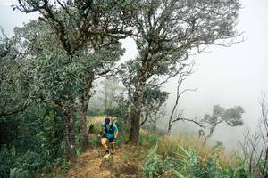 BIB: 
                            <button type="button" onclick="openModal(26154457)" class="btn btn-primary btn-sm float-right btn-popup" data-toggle="modal" data-target=".modal-high-quality">
                        <i class="fas fa-shopping-cart"></i> Add to Cart
                    </button>
                                            <button type="button" onclick="isThisMe(26154457, true)" class="btn btn-success btn-sm float-right btn-popup btn-isme hidden" data-toggle="tooltip" data-placement="bottom" title="นี่คือรูปของคุณใช่ไหม คลิกที่นี่เพื่อเอาเข้าอัลบั้ม">
                        <i class="fas fa-plus"></i> Add to album
                    </button>
                    <button type="button" onclick="isThisMe(26154457, false)" class="btn btn-warning btn-sm float-right btn-popup btn-isnotme hidden">
                        <i class="fas fa-ban"></i> Remove from album
                    </button>