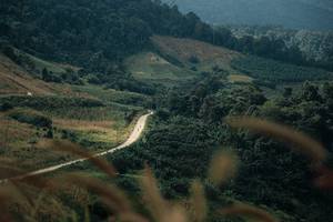 BIB: 
                            <button type="button" onclick="openModal(26154404)" class="btn btn-primary btn-sm float-right btn-popup" data-toggle="modal" data-target=".modal-high-quality">
                        <i class="fas fa-shopping-cart"></i> Add to Cart
                    </button>
                                            <button type="button" onclick="isThisMe(26154404, true)" class="btn btn-success btn-sm float-right btn-popup btn-isme hidden" data-toggle="tooltip" data-placement="bottom" title="นี่คือรูปของคุณใช่ไหม คลิกที่นี่เพื่อเอาเข้าอัลบั้ม">
                        <i class="fas fa-plus"></i> Add to album
                    </button>
                    <button type="button" onclick="isThisMe(26154404, false)" class="btn btn-warning btn-sm float-right btn-popup btn-isnotme hidden">
                        <i class="fas fa-ban"></i> Remove from album
                    </button>