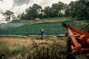 BIB: 
                            <button type="button" onclick="openModal(26154253)" class="btn btn-primary btn-sm float-right btn-popup" data-toggle="modal" data-target=".modal-high-quality">
                        <i class="fas fa-shopping-cart"></i> Add to Cart
                    </button>
                                            <button type="button" onclick="isThisMe(26154253, true)" class="btn btn-success btn-sm float-right btn-popup btn-isme hidden" data-toggle="tooltip" data-placement="bottom" title="นี่คือรูปของคุณใช่ไหม คลิกที่นี่เพื่อเอาเข้าอัลบั้ม">
                        <i class="fas fa-plus"></i> Add to album
                    </button>
                    <button type="button" onclick="isThisMe(26154253, false)" class="btn btn-warning btn-sm float-right btn-popup btn-isnotme hidden">
                        <i class="fas fa-ban"></i> Remove from album
                    </button>