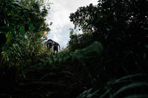 BIB: 
                            <button type="button" onclick="openModal(26154422)" class="btn btn-primary btn-sm float-right btn-popup" data-toggle="modal" data-target=".modal-high-quality">
                        <i class="fas fa-shopping-cart"></i> Add to Cart
                    </button>
                                            <button type="button" onclick="isThisMe(26154422, true)" class="btn btn-success btn-sm float-right btn-popup btn-isme hidden" data-toggle="tooltip" data-placement="bottom" title="นี่คือรูปของคุณใช่ไหม คลิกที่นี่เพื่อเอาเข้าอัลบั้ม">
                        <i class="fas fa-plus"></i> Add to album
                    </button>
                    <button type="button" onclick="isThisMe(26154422, false)" class="btn btn-warning btn-sm float-right btn-popup btn-isnotme hidden">
                        <i class="fas fa-ban"></i> Remove from album
                    </button>