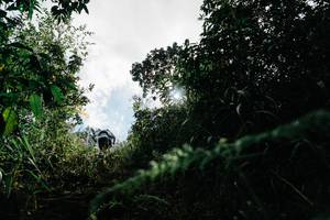 BIB: 
                            <button type="button" onclick="openModal(26154420)" class="btn btn-primary btn-sm float-right btn-popup" data-toggle="modal" data-target=".modal-high-quality">
                        <i class="fas fa-shopping-cart"></i> Add to Cart
                    </button>
                                            <button type="button" onclick="isThisMe(26154420, true)" class="btn btn-success btn-sm float-right btn-popup btn-isme hidden" data-toggle="tooltip" data-placement="bottom" title="นี่คือรูปของคุณใช่ไหม คลิกที่นี่เพื่อเอาเข้าอัลบั้ม">
                        <i class="fas fa-plus"></i> Add to album
                    </button>
                    <button type="button" onclick="isThisMe(26154420, false)" class="btn btn-warning btn-sm float-right btn-popup btn-isnotme hidden">
                        <i class="fas fa-ban"></i> Remove from album
                    </button>