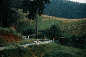 BIB: 
                            <button type="button" onclick="openModal(26154395)" class="btn btn-primary btn-sm float-right btn-popup" data-toggle="modal" data-target=".modal-high-quality">
                        <i class="fas fa-shopping-cart"></i> Add to Cart
                    </button>
                                            <button type="button" onclick="isThisMe(26154395, true)" class="btn btn-success btn-sm float-right btn-popup btn-isme hidden" data-toggle="tooltip" data-placement="bottom" title="นี่คือรูปของคุณใช่ไหม คลิกที่นี่เพื่อเอาเข้าอัลบั้ม">
                        <i class="fas fa-plus"></i> Add to album
                    </button>
                    <button type="button" onclick="isThisMe(26154395, false)" class="btn btn-warning btn-sm float-right btn-popup btn-isnotme hidden">
                        <i class="fas fa-ban"></i> Remove from album
                    </button>