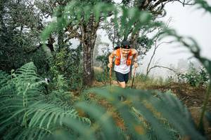 BIB: 
                            <button type="button" onclick="openModal(26154446)" class="btn btn-primary btn-sm float-right btn-popup" data-toggle="modal" data-target=".modal-high-quality">
                        <i class="fas fa-shopping-cart"></i> Add to Cart
                    </button>
                                            <button type="button" onclick="isThisMe(26154446, true)" class="btn btn-success btn-sm float-right btn-popup btn-isme hidden" data-toggle="tooltip" data-placement="bottom" title="นี่คือรูปของคุณใช่ไหม คลิกที่นี่เพื่อเอาเข้าอัลบั้ม">
                        <i class="fas fa-plus"></i> Add to album
                    </button>
                    <button type="button" onclick="isThisMe(26154446, false)" class="btn btn-warning btn-sm float-right btn-popup btn-isnotme hidden">
                        <i class="fas fa-ban"></i> Remove from album
                    </button>