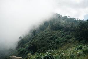 BIB: 
                            <button type="button" onclick="openModal(26154407)" class="btn btn-primary btn-sm float-right btn-popup" data-toggle="modal" data-target=".modal-high-quality">
                        <i class="fas fa-shopping-cart"></i> Add to Cart
                    </button>
                                            <button type="button" onclick="isThisMe(26154407, true)" class="btn btn-success btn-sm float-right btn-popup btn-isme hidden" data-toggle="tooltip" data-placement="bottom" title="นี่คือรูปของคุณใช่ไหม คลิกที่นี่เพื่อเอาเข้าอัลบั้ม">
                        <i class="fas fa-plus"></i> Add to album
                    </button>
                    <button type="button" onclick="isThisMe(26154407, false)" class="btn btn-warning btn-sm float-right btn-popup btn-isnotme hidden">
                        <i class="fas fa-ban"></i> Remove from album
                    </button>