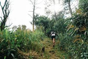 BIB: 
                            <button type="button" onclick="openModal(26154409)" class="btn btn-primary btn-sm float-right btn-popup" data-toggle="modal" data-target=".modal-high-quality">
                        <i class="fas fa-shopping-cart"></i> Add to Cart
                    </button>
                                            <button type="button" onclick="isThisMe(26154409, true)" class="btn btn-success btn-sm float-right btn-popup btn-isme hidden" data-toggle="tooltip" data-placement="bottom" title="นี่คือรูปของคุณใช่ไหม คลิกที่นี่เพื่อเอาเข้าอัลบั้ม">
                        <i class="fas fa-plus"></i> Add to album
                    </button>
                    <button type="button" onclick="isThisMe(26154409, false)" class="btn btn-warning btn-sm float-right btn-popup btn-isnotme hidden">
                        <i class="fas fa-ban"></i> Remove from album
                    </button>