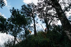 BIB: 
                            <button type="button" onclick="openModal(26154433)" class="btn btn-primary btn-sm float-right btn-popup" data-toggle="modal" data-target=".modal-high-quality">
                        <i class="fas fa-shopping-cart"></i> Add to Cart
                    </button>
                                            <button type="button" onclick="isThisMe(26154433, true)" class="btn btn-success btn-sm float-right btn-popup btn-isme hidden" data-toggle="tooltip" data-placement="bottom" title="นี่คือรูปของคุณใช่ไหม คลิกที่นี่เพื่อเอาเข้าอัลบั้ม">
                        <i class="fas fa-plus"></i> Add to album
                    </button>
                    <button type="button" onclick="isThisMe(26154433, false)" class="btn btn-warning btn-sm float-right btn-popup btn-isnotme hidden">
                        <i class="fas fa-ban"></i> Remove from album
                    </button>