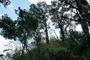 BIB: 
                            <button type="button" onclick="openModal(26154434)" class="btn btn-primary btn-sm float-right btn-popup" data-toggle="modal" data-target=".modal-high-quality">
                        <i class="fas fa-shopping-cart"></i> Add to Cart
                    </button>
                                            <button type="button" onclick="isThisMe(26154434, true)" class="btn btn-success btn-sm float-right btn-popup btn-isme hidden" data-toggle="tooltip" data-placement="bottom" title="นี่คือรูปของคุณใช่ไหม คลิกที่นี่เพื่อเอาเข้าอัลบั้ม">
                        <i class="fas fa-plus"></i> Add to album
                    </button>
                    <button type="button" onclick="isThisMe(26154434, false)" class="btn btn-warning btn-sm float-right btn-popup btn-isnotme hidden">
                        <i class="fas fa-ban"></i> Remove from album
                    </button>