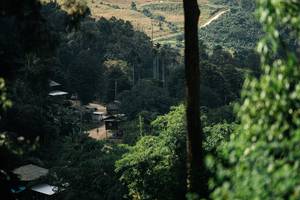 BIB: 
                            <button type="button" onclick="openModal(26154214)" class="btn btn-primary btn-sm float-right btn-popup" data-toggle="modal" data-target=".modal-high-quality">
                        <i class="fas fa-shopping-cart"></i> Add to Cart
                    </button>
                                            <button type="button" onclick="isThisMe(26154214, true)" class="btn btn-success btn-sm float-right btn-popup btn-isme hidden" data-toggle="tooltip" data-placement="bottom" title="นี่คือรูปของคุณใช่ไหม คลิกที่นี่เพื่อเอาเข้าอัลบั้ม">
                        <i class="fas fa-plus"></i> Add to album
                    </button>
                    <button type="button" onclick="isThisMe(26154214, false)" class="btn btn-warning btn-sm float-right btn-popup btn-isnotme hidden">
                        <i class="fas fa-ban"></i> Remove from album
                    </button>