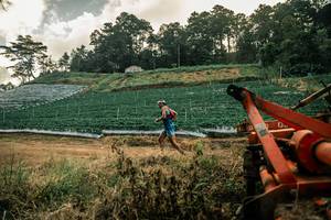 BIB: 
                            <button type="button" onclick="openModal(26154245)" class="btn btn-primary btn-sm float-right btn-popup" data-toggle="modal" data-target=".modal-high-quality">
                        <i class="fas fa-shopping-cart"></i> Add to Cart
                    </button>
                                            <button type="button" onclick="isThisMe(26154245, true)" class="btn btn-success btn-sm float-right btn-popup btn-isme hidden" data-toggle="tooltip" data-placement="bottom" title="นี่คือรูปของคุณใช่ไหม คลิกที่นี่เพื่อเอาเข้าอัลบั้ม">
                        <i class="fas fa-plus"></i> Add to album
                    </button>
                    <button type="button" onclick="isThisMe(26154245, false)" class="btn btn-warning btn-sm float-right btn-popup btn-isnotme hidden">
                        <i class="fas fa-ban"></i> Remove from album
                    </button>