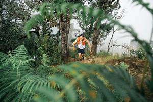 BIB: 
                            <button type="button" onclick="openModal(26154466)" class="btn btn-primary btn-sm float-right btn-popup" data-toggle="modal" data-target=".modal-high-quality">
                        <i class="fas fa-shopping-cart"></i> Add to Cart
                    </button>
                                            <button type="button" onclick="isThisMe(26154466, true)" class="btn btn-success btn-sm float-right btn-popup btn-isme hidden" data-toggle="tooltip" data-placement="bottom" title="นี่คือรูปของคุณใช่ไหม คลิกที่นี่เพื่อเอาเข้าอัลบั้ม">
                        <i class="fas fa-plus"></i> Add to album
                    </button>
                    <button type="button" onclick="isThisMe(26154466, false)" class="btn btn-warning btn-sm float-right btn-popup btn-isnotme hidden">
                        <i class="fas fa-ban"></i> Remove from album
                    </button>