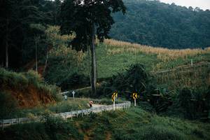 BIB: 
                            <button type="button" onclick="openModal(26154368)" class="btn btn-primary btn-sm float-right btn-popup" data-toggle="modal" data-target=".modal-high-quality">
                        <i class="fas fa-shopping-cart"></i> Add to Cart
                    </button>
                                            <button type="button" onclick="isThisMe(26154368, true)" class="btn btn-success btn-sm float-right btn-popup btn-isme hidden" data-toggle="tooltip" data-placement="bottom" title="นี่คือรูปของคุณใช่ไหม คลิกที่นี่เพื่อเอาเข้าอัลบั้ม">
                        <i class="fas fa-plus"></i> Add to album
                    </button>
                    <button type="button" onclick="isThisMe(26154368, false)" class="btn btn-warning btn-sm float-right btn-popup btn-isnotme hidden">
                        <i class="fas fa-ban"></i> Remove from album
                    </button>