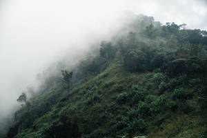 BIB: 
                            <button type="button" onclick="openModal(26154406)" class="btn btn-primary btn-sm float-right btn-popup" data-toggle="modal" data-target=".modal-high-quality">
                        <i class="fas fa-shopping-cart"></i> Add to Cart
                    </button>
                                            <button type="button" onclick="isThisMe(26154406, true)" class="btn btn-success btn-sm float-right btn-popup btn-isme hidden" data-toggle="tooltip" data-placement="bottom" title="นี่คือรูปของคุณใช่ไหม คลิกที่นี่เพื่อเอาเข้าอัลบั้ม">
                        <i class="fas fa-plus"></i> Add to album
                    </button>
                    <button type="button" onclick="isThisMe(26154406, false)" class="btn btn-warning btn-sm float-right btn-popup btn-isnotme hidden">
                        <i class="fas fa-ban"></i> Remove from album
                    </button>