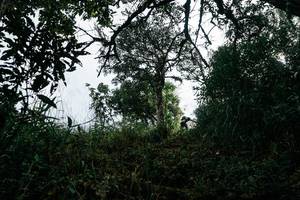 BIB: 
                            <button type="button" onclick="openModal(26154421)" class="btn btn-primary btn-sm float-right btn-popup" data-toggle="modal" data-target=".modal-high-quality">
                        <i class="fas fa-shopping-cart"></i> Add to Cart
                    </button>
                                            <button type="button" onclick="isThisMe(26154421, true)" class="btn btn-success btn-sm float-right btn-popup btn-isme hidden" data-toggle="tooltip" data-placement="bottom" title="นี่คือรูปของคุณใช่ไหม คลิกที่นี่เพื่อเอาเข้าอัลบั้ม">
                        <i class="fas fa-plus"></i> Add to album
                    </button>
                    <button type="button" onclick="isThisMe(26154421, false)" class="btn btn-warning btn-sm float-right btn-popup btn-isnotme hidden">
                        <i class="fas fa-ban"></i> Remove from album
                    </button>