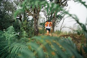 BIB: 
                            <button type="button" onclick="openModal(26154449)" class="btn btn-primary btn-sm float-right btn-popup" data-toggle="modal" data-target=".modal-high-quality">
                        <i class="fas fa-shopping-cart"></i> Add to Cart
                    </button>
                                            <button type="button" onclick="isThisMe(26154449, true)" class="btn btn-success btn-sm float-right btn-popup btn-isme hidden" data-toggle="tooltip" data-placement="bottom" title="นี่คือรูปของคุณใช่ไหม คลิกที่นี่เพื่อเอาเข้าอัลบั้ม">
                        <i class="fas fa-plus"></i> Add to album
                    </button>
                    <button type="button" onclick="isThisMe(26154449, false)" class="btn btn-warning btn-sm float-right btn-popup btn-isnotme hidden">
                        <i class="fas fa-ban"></i> Remove from album
                    </button>