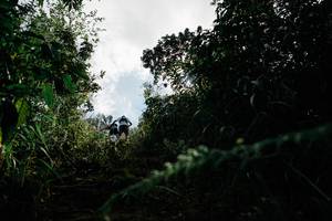 BIB: 
                            <button type="button" onclick="openModal(26154417)" class="btn btn-primary btn-sm float-right btn-popup" data-toggle="modal" data-target=".modal-high-quality">
                        <i class="fas fa-shopping-cart"></i> Add to Cart
                    </button>
                                            <button type="button" onclick="isThisMe(26154417, true)" class="btn btn-success btn-sm float-right btn-popup btn-isme hidden" data-toggle="tooltip" data-placement="bottom" title="นี่คือรูปของคุณใช่ไหม คลิกที่นี่เพื่อเอาเข้าอัลบั้ม">
                        <i class="fas fa-plus"></i> Add to album
                    </button>
                    <button type="button" onclick="isThisMe(26154417, false)" class="btn btn-warning btn-sm float-right btn-popup btn-isnotme hidden">
                        <i class="fas fa-ban"></i> Remove from album
                    </button>