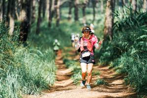 BIB: 
                            <button type="button" onclick="openModal(25935550)" class="btn btn-primary btn-sm float-right btn-popup" data-toggle="modal" data-target=".modal-high-quality">
                        <i class="fas fa-shopping-cart"></i> Add to Cart
                    </button>
                                            <button type="button" onclick="isThisMe(25935550, true)" class="btn btn-success btn-sm float-right btn-popup btn-isme hidden" data-toggle="tooltip" data-placement="bottom" title="นี่คือรูปของคุณใช่ไหม คลิกที่นี่เพื่อเอาเข้าอัลบั้ม">
                        <i class="fas fa-plus"></i> Add to album
                    </button>
                    <button type="button" onclick="isThisMe(25935550, false)" class="btn btn-warning btn-sm float-right btn-popup btn-isnotme hidden">
                        <i class="fas fa-ban"></i> Remove from album
                    </button>