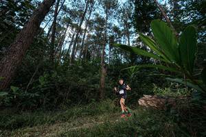 BIB: 
                            <button type="button" onclick="openModal(25226508)" class="btn btn-primary btn-sm float-right btn-popup" data-toggle="modal" data-target=".modal-high-quality">
                        <i class="fas fa-shopping-cart"></i> Add to Cart
                    </button>
                                            <button type="button" onclick="isThisMe(25226508, true)" class="btn btn-success btn-sm float-right btn-popup btn-isme hidden" data-toggle="tooltip" data-placement="bottom" title="นี่คือรูปของคุณใช่ไหม คลิกที่นี่เพื่อเอาเข้าอัลบั้ม">
                        <i class="fas fa-plus"></i> Add to album
                    </button>
                    <button type="button" onclick="isThisMe(25226508, false)" class="btn btn-warning btn-sm float-right btn-popup btn-isnotme hidden">
                        <i class="fas fa-ban"></i> Remove from album
                    </button>