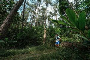 BIB: 
                            <button type="button" onclick="openModal(25226291)" class="btn btn-primary btn-sm float-right btn-popup" data-toggle="modal" data-target=".modal-high-quality">
                        <i class="fas fa-shopping-cart"></i> Add to Cart
                    </button>
                                            <button type="button" onclick="isThisMe(25226291, true)" class="btn btn-success btn-sm float-right btn-popup btn-isme hidden" data-toggle="tooltip" data-placement="bottom" title="นี่คือรูปของคุณใช่ไหม คลิกที่นี่เพื่อเอาเข้าอัลบั้ม">
                        <i class="fas fa-plus"></i> Add to album
                    </button>
                    <button type="button" onclick="isThisMe(25226291, false)" class="btn btn-warning btn-sm float-right btn-popup btn-isnotme hidden">
                        <i class="fas fa-ban"></i> Remove from album
                    </button>