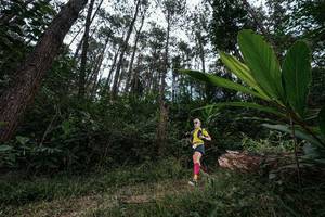 BIB: 
                            <button type="button" onclick="openModal(25227018)" class="btn btn-primary btn-sm float-right btn-popup" data-toggle="modal" data-target=".modal-high-quality">
                        <i class="fas fa-shopping-cart"></i> Add to Cart
                    </button>
                                            <button type="button" onclick="isThisMe(25227018, true)" class="btn btn-success btn-sm float-right btn-popup btn-isme hidden" data-toggle="tooltip" data-placement="bottom" title="นี่คือรูปของคุณใช่ไหม คลิกที่นี่เพื่อเอาเข้าอัลบั้ม">
                        <i class="fas fa-plus"></i> Add to album
                    </button>
                    <button type="button" onclick="isThisMe(25227018, false)" class="btn btn-warning btn-sm float-right btn-popup btn-isnotme hidden">
                        <i class="fas fa-ban"></i> Remove from album
                    </button>