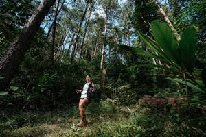 BIB: 
                            <button type="button" onclick="openModal(25226770)" class="btn btn-primary btn-sm float-right btn-popup" data-toggle="modal" data-target=".modal-high-quality">
                        <i class="fas fa-shopping-cart"></i> Add to Cart
                    </button>
                                            <button type="button" onclick="isThisMe(25226770, true)" class="btn btn-success btn-sm float-right btn-popup btn-isme hidden" data-toggle="tooltip" data-placement="bottom" title="นี่คือรูปของคุณใช่ไหม คลิกที่นี่เพื่อเอาเข้าอัลบั้ม">
                        <i class="fas fa-plus"></i> Add to album
                    </button>
                    <button type="button" onclick="isThisMe(25226770, false)" class="btn btn-warning btn-sm float-right btn-popup btn-isnotme hidden">
                        <i class="fas fa-ban"></i> Remove from album
                    </button>