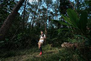 BIB: 
                            <button type="button" onclick="openModal(25227217)" class="btn btn-primary btn-sm float-right btn-popup" data-toggle="modal" data-target=".modal-high-quality">
                        <i class="fas fa-shopping-cart"></i> Add to Cart
                    </button>
                                            <button type="button" onclick="isThisMe(25227217, true)" class="btn btn-success btn-sm float-right btn-popup btn-isme hidden" data-toggle="tooltip" data-placement="bottom" title="นี่คือรูปของคุณใช่ไหม คลิกที่นี่เพื่อเอาเข้าอัลบั้ม">
                        <i class="fas fa-plus"></i> Add to album
                    </button>
                    <button type="button" onclick="isThisMe(25227217, false)" class="btn btn-warning btn-sm float-right btn-popup btn-isnotme hidden">
                        <i class="fas fa-ban"></i> Remove from album
                    </button>