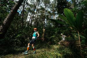 BIB: 
                            <button type="button" onclick="openModal(25227326)" class="btn btn-primary btn-sm float-right btn-popup" data-toggle="modal" data-target=".modal-high-quality">
                        <i class="fas fa-shopping-cart"></i> Add to Cart
                    </button>
                                            <button type="button" onclick="isThisMe(25227326, true)" class="btn btn-success btn-sm float-right btn-popup btn-isme hidden" data-toggle="tooltip" data-placement="bottom" title="นี่คือรูปของคุณใช่ไหม คลิกที่นี่เพื่อเอาเข้าอัลบั้ม">
                        <i class="fas fa-plus"></i> Add to album
                    </button>
                    <button type="button" onclick="isThisMe(25227326, false)" class="btn btn-warning btn-sm float-right btn-popup btn-isnotme hidden">
                        <i class="fas fa-ban"></i> Remove from album
                    </button>