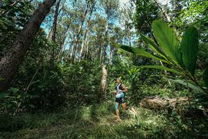 BIB: 
                            <button type="button" onclick="openModal(25226198)" class="btn btn-primary btn-sm float-right btn-popup" data-toggle="modal" data-target=".modal-high-quality">
                        <i class="fas fa-shopping-cart"></i> Add to Cart
                    </button>
                                            <button type="button" onclick="isThisMe(25226198, true)" class="btn btn-success btn-sm float-right btn-popup btn-isme hidden" data-toggle="tooltip" data-placement="bottom" title="นี่คือรูปของคุณใช่ไหม คลิกที่นี่เพื่อเอาเข้าอัลบั้ม">
                        <i class="fas fa-plus"></i> Add to album
                    </button>
                    <button type="button" onclick="isThisMe(25226198, false)" class="btn btn-warning btn-sm float-right btn-popup btn-isnotme hidden">
                        <i class="fas fa-ban"></i> Remove from album
                    </button>