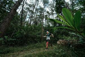 BIB: 
                            <button type="button" onclick="openModal(25226269)" class="btn btn-primary btn-sm float-right btn-popup" data-toggle="modal" data-target=".modal-high-quality">
                        <i class="fas fa-shopping-cart"></i> Add to Cart
                    </button>
                                            <button type="button" onclick="isThisMe(25226269, true)" class="btn btn-success btn-sm float-right btn-popup btn-isme hidden" data-toggle="tooltip" data-placement="bottom" title="นี่คือรูปของคุณใช่ไหม คลิกที่นี่เพื่อเอาเข้าอัลบั้ม">
                        <i class="fas fa-plus"></i> Add to album
                    </button>
                    <button type="button" onclick="isThisMe(25226269, false)" class="btn btn-warning btn-sm float-right btn-popup btn-isnotme hidden">
                        <i class="fas fa-ban"></i> Remove from album
                    </button>