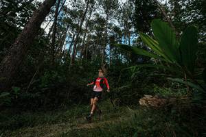 BIB: 
                            <button type="button" onclick="openModal(25227303)" class="btn btn-primary btn-sm float-right btn-popup" data-toggle="modal" data-target=".modal-high-quality">
                        <i class="fas fa-shopping-cart"></i> Add to Cart
                    </button>
                                            <button type="button" onclick="isThisMe(25227303, true)" class="btn btn-success btn-sm float-right btn-popup btn-isme hidden" data-toggle="tooltip" data-placement="bottom" title="นี่คือรูปของคุณใช่ไหม คลิกที่นี่เพื่อเอาเข้าอัลบั้ม">
                        <i class="fas fa-plus"></i> Add to album
                    </button>
                    <button type="button" onclick="isThisMe(25227303, false)" class="btn btn-warning btn-sm float-right btn-popup btn-isnotme hidden">
                        <i class="fas fa-ban"></i> Remove from album
                    </button>