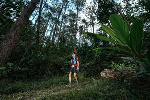 BIB: 
                            <button type="button" onclick="openModal(25226657)" class="btn btn-primary btn-sm float-right btn-popup" data-toggle="modal" data-target=".modal-high-quality">
                        <i class="fas fa-shopping-cart"></i> Add to Cart
                    </button>
                                            <button type="button" onclick="isThisMe(25226657, true)" class="btn btn-success btn-sm float-right btn-popup btn-isme hidden" data-toggle="tooltip" data-placement="bottom" title="นี่คือรูปของคุณใช่ไหม คลิกที่นี่เพื่อเอาเข้าอัลบั้ม">
                        <i class="fas fa-plus"></i> Add to album
                    </button>
                    <button type="button" onclick="isThisMe(25226657, false)" class="btn btn-warning btn-sm float-right btn-popup btn-isnotme hidden">
                        <i class="fas fa-ban"></i> Remove from album
                    </button>