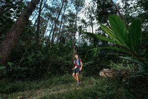 BIB: 
                            <button type="button" onclick="openModal(25226656)" class="btn btn-primary btn-sm float-right btn-popup" data-toggle="modal" data-target=".modal-high-quality">
                        <i class="fas fa-shopping-cart"></i> Add to Cart
                    </button>
                                            <button type="button" onclick="isThisMe(25226656, true)" class="btn btn-success btn-sm float-right btn-popup btn-isme hidden" data-toggle="tooltip" data-placement="bottom" title="นี่คือรูปของคุณใช่ไหม คลิกที่นี่เพื่อเอาเข้าอัลบั้ม">
                        <i class="fas fa-plus"></i> Add to album
                    </button>
                    <button type="button" onclick="isThisMe(25226656, false)" class="btn btn-warning btn-sm float-right btn-popup btn-isnotme hidden">
                        <i class="fas fa-ban"></i> Remove from album
                    </button>