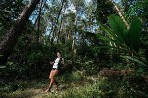 BIB: 
                            <button type="button" onclick="openModal(25226772)" class="btn btn-primary btn-sm float-right btn-popup" data-toggle="modal" data-target=".modal-high-quality">
                        <i class="fas fa-shopping-cart"></i> Add to Cart
                    </button>
                                            <button type="button" onclick="isThisMe(25226772, true)" class="btn btn-success btn-sm float-right btn-popup btn-isme hidden" data-toggle="tooltip" data-placement="bottom" title="นี่คือรูปของคุณใช่ไหม คลิกที่นี่เพื่อเอาเข้าอัลบั้ม">
                        <i class="fas fa-plus"></i> Add to album
                    </button>
                    <button type="button" onclick="isThisMe(25226772, false)" class="btn btn-warning btn-sm float-right btn-popup btn-isnotme hidden">
                        <i class="fas fa-ban"></i> Remove from album
                    </button>