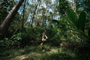 BIB: 
                            <button type="button" onclick="openModal(25226458)" class="btn btn-primary btn-sm float-right btn-popup" data-toggle="modal" data-target=".modal-high-quality">
                        <i class="fas fa-shopping-cart"></i> Add to Cart
                    </button>
                                            <button type="button" onclick="isThisMe(25226458, true)" class="btn btn-success btn-sm float-right btn-popup btn-isme hidden" data-toggle="tooltip" data-placement="bottom" title="นี่คือรูปของคุณใช่ไหม คลิกที่นี่เพื่อเอาเข้าอัลบั้ม">
                        <i class="fas fa-plus"></i> Add to album
                    </button>
                    <button type="button" onclick="isThisMe(25226458, false)" class="btn btn-warning btn-sm float-right btn-popup btn-isnotme hidden">
                        <i class="fas fa-ban"></i> Remove from album
                    </button>