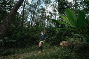 BIB: 
                            <button type="button" onclick="openModal(25226851)" class="btn btn-primary btn-sm float-right btn-popup" data-toggle="modal" data-target=".modal-high-quality">
                        <i class="fas fa-shopping-cart"></i> Add to Cart
                    </button>
                                            <button type="button" onclick="isThisMe(25226851, true)" class="btn btn-success btn-sm float-right btn-popup btn-isme hidden" data-toggle="tooltip" data-placement="bottom" title="นี่คือรูปของคุณใช่ไหม คลิกที่นี่เพื่อเอาเข้าอัลบั้ม">
                        <i class="fas fa-plus"></i> Add to album
                    </button>
                    <button type="button" onclick="isThisMe(25226851, false)" class="btn btn-warning btn-sm float-right btn-popup btn-isnotme hidden">
                        <i class="fas fa-ban"></i> Remove from album
                    </button>