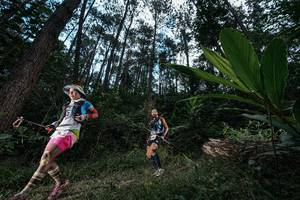 BIB: 
                            <button type="button" onclick="openModal(25226943)" class="btn btn-primary btn-sm float-right btn-popup" data-toggle="modal" data-target=".modal-high-quality">
                        <i class="fas fa-shopping-cart"></i> Add to Cart
                    </button>
                                            <button type="button" onclick="isThisMe(25226943, true)" class="btn btn-success btn-sm float-right btn-popup btn-isme hidden" data-toggle="tooltip" data-placement="bottom" title="นี่คือรูปของคุณใช่ไหม คลิกที่นี่เพื่อเอาเข้าอัลบั้ม">
                        <i class="fas fa-plus"></i> Add to album
                    </button>
                    <button type="button" onclick="isThisMe(25226943, false)" class="btn btn-warning btn-sm float-right btn-popup btn-isnotme hidden">
                        <i class="fas fa-ban"></i> Remove from album
                    </button>