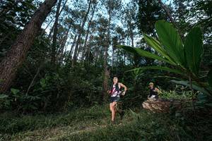 BIB: 
                            <button type="button" onclick="openModal(25226580)" class="btn btn-primary btn-sm float-right btn-popup" data-toggle="modal" data-target=".modal-high-quality">
                        <i class="fas fa-shopping-cart"></i> Add to Cart
                    </button>
                                            <button type="button" onclick="isThisMe(25226580, true)" class="btn btn-success btn-sm float-right btn-popup btn-isme hidden" data-toggle="tooltip" data-placement="bottom" title="นี่คือรูปของคุณใช่ไหม คลิกที่นี่เพื่อเอาเข้าอัลบั้ม">
                        <i class="fas fa-plus"></i> Add to album
                    </button>
                    <button type="button" onclick="isThisMe(25226580, false)" class="btn btn-warning btn-sm float-right btn-popup btn-isnotme hidden">
                        <i class="fas fa-ban"></i> Remove from album
                    </button>