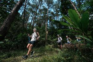 BIB: 
                            <button type="button" onclick="openModal(25226748)" class="btn btn-primary btn-sm float-right btn-popup" data-toggle="modal" data-target=".modal-high-quality">
                        <i class="fas fa-shopping-cart"></i> Add to Cart
                    </button>
                                            <button type="button" onclick="isThisMe(25226748, true)" class="btn btn-success btn-sm float-right btn-popup btn-isme hidden" data-toggle="tooltip" data-placement="bottom" title="นี่คือรูปของคุณใช่ไหม คลิกที่นี่เพื่อเอาเข้าอัลบั้ม">
                        <i class="fas fa-plus"></i> Add to album
                    </button>
                    <button type="button" onclick="isThisMe(25226748, false)" class="btn btn-warning btn-sm float-right btn-popup btn-isnotme hidden">
                        <i class="fas fa-ban"></i> Remove from album
                    </button>