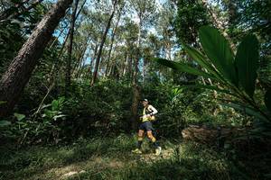 BIB: 
                            <button type="button" onclick="openModal(25226456)" class="btn btn-primary btn-sm float-right btn-popup" data-toggle="modal" data-target=".modal-high-quality">
                        <i class="fas fa-shopping-cart"></i> Add to Cart
                    </button>
                                            <button type="button" onclick="isThisMe(25226456, true)" class="btn btn-success btn-sm float-right btn-popup btn-isme hidden" data-toggle="tooltip" data-placement="bottom" title="นี่คือรูปของคุณใช่ไหม คลิกที่นี่เพื่อเอาเข้าอัลบั้ม">
                        <i class="fas fa-plus"></i> Add to album
                    </button>
                    <button type="button" onclick="isThisMe(25226456, false)" class="btn btn-warning btn-sm float-right btn-popup btn-isnotme hidden">
                        <i class="fas fa-ban"></i> Remove from album
                    </button>