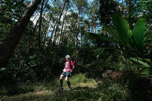 BIB: 
                            <button type="button" onclick="openModal(25227129)" class="btn btn-primary btn-sm float-right btn-popup" data-toggle="modal" data-target=".modal-high-quality">
                        <i class="fas fa-shopping-cart"></i> Add to Cart
                    </button>
                                            <button type="button" onclick="isThisMe(25227129, true)" class="btn btn-success btn-sm float-right btn-popup btn-isme hidden" data-toggle="tooltip" data-placement="bottom" title="นี่คือรูปของคุณใช่ไหม คลิกที่นี่เพื่อเอาเข้าอัลบั้ม">
                        <i class="fas fa-plus"></i> Add to album
                    </button>
                    <button type="button" onclick="isThisMe(25227129, false)" class="btn btn-warning btn-sm float-right btn-popup btn-isnotme hidden">
                        <i class="fas fa-ban"></i> Remove from album
                    </button>