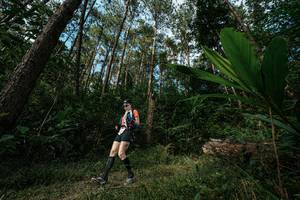 BIB: 
                            <button type="button" onclick="openModal(25227277)" class="btn btn-primary btn-sm float-right btn-popup" data-toggle="modal" data-target=".modal-high-quality">
                        <i class="fas fa-shopping-cart"></i> Add to Cart
                    </button>
                                            <button type="button" onclick="isThisMe(25227277, true)" class="btn btn-success btn-sm float-right btn-popup btn-isme hidden" data-toggle="tooltip" data-placement="bottom" title="นี่คือรูปของคุณใช่ไหม คลิกที่นี่เพื่อเอาเข้าอัลบั้ม">
                        <i class="fas fa-plus"></i> Add to album
                    </button>
                    <button type="button" onclick="isThisMe(25227277, false)" class="btn btn-warning btn-sm float-right btn-popup btn-isnotme hidden">
                        <i class="fas fa-ban"></i> Remove from album
                    </button>