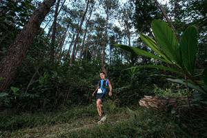 BIB: 
                            <button type="button" onclick="openModal(25226532)" class="btn btn-primary btn-sm float-right btn-popup" data-toggle="modal" data-target=".modal-high-quality">
                        <i class="fas fa-shopping-cart"></i> Add to Cart
                    </button>
                                            <button type="button" onclick="isThisMe(25226532, true)" class="btn btn-success btn-sm float-right btn-popup btn-isme hidden" data-toggle="tooltip" data-placement="bottom" title="นี่คือรูปของคุณใช่ไหม คลิกที่นี่เพื่อเอาเข้าอัลบั้ม">
                        <i class="fas fa-plus"></i> Add to album
                    </button>
                    <button type="button" onclick="isThisMe(25226532, false)" class="btn btn-warning btn-sm float-right btn-popup btn-isnotme hidden">
                        <i class="fas fa-ban"></i> Remove from album
                    </button>