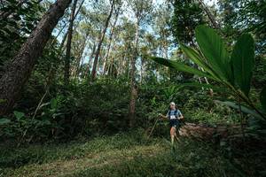 BIB: 
                            <button type="button" onclick="openModal(25226379)" class="btn btn-primary btn-sm float-right btn-popup" data-toggle="modal" data-target=".modal-high-quality">
                        <i class="fas fa-shopping-cart"></i> Add to Cart
                    </button>
                                            <button type="button" onclick="isThisMe(25226379, true)" class="btn btn-success btn-sm float-right btn-popup btn-isme hidden" data-toggle="tooltip" data-placement="bottom" title="นี่คือรูปของคุณใช่ไหม คลิกที่นี่เพื่อเอาเข้าอัลบั้ม">
                        <i class="fas fa-plus"></i> Add to album
                    </button>
                    <button type="button" onclick="isThisMe(25226379, false)" class="btn btn-warning btn-sm float-right btn-popup btn-isnotme hidden">
                        <i class="fas fa-ban"></i> Remove from album
                    </button>